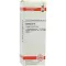 CACTUS D6 Fortynding, 20 ml