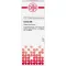 CACTUS D6 Fortynding, 20 ml