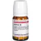 BERBERIS D 6 tabletter, 80 stk