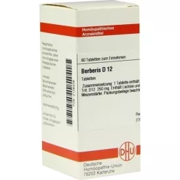 BERBERIS D 12 tabletter, 80 stk