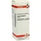 VISCUM ALBUM Moder tinktur, 20 ml