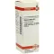 VISCUM ALBUM D 2 Fortynding, 20 ml
