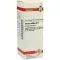 VISCUM ALBUM D6 Fortynding, 20 ml