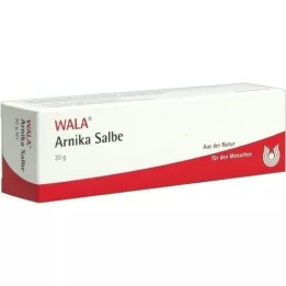 ARNIKA SALVE, 30 g