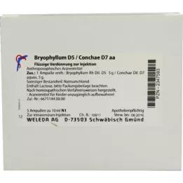 BRYOPHYLLUM D 5/Conchae D 7 ampuller, 5X10 ml