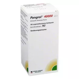PANGROL 40.000 Hårde kapsler med enterisk belagt skal, 100 stk