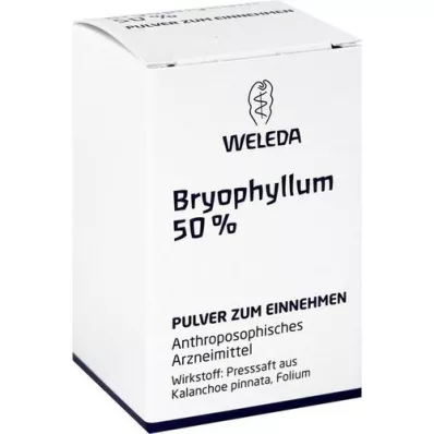 BRYOPHYLLUM 50% pulver til oral brug, 20 g