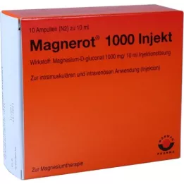 MAGNEROT 1000 Injektionsampuller, 10X10 ml