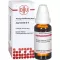 ASA FOETIDA D 8 fortynding, 20 ml