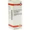 AVENA SATIVA D 4 fortynding, 20 ml