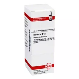 BERBERIS D 12 fortynding, 20 ml