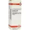 CANTHARIS D 30 fortynding, 20 ml