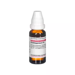 CARDIOSPERMUM D 1 fortynding, 20 ml