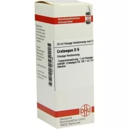 CRATAEGUS D 6 fortynding, 20 ml