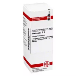 CRATAEGUS D 6 fortynding, 20 ml