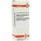 CUPRUM ARSENICOSUM D 12 fortynding, 20 ml