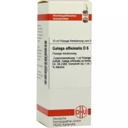 GALEGA officinalis D 6 fortynding, 20 ml