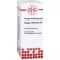 GALEGA officinalis D 6 fortynding, 20 ml