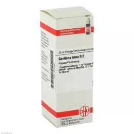 GENTIANA LUTEA D 2 fortynding, 20 ml
