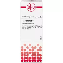 LEPTANDRA D 6 fortynding, 20 ml