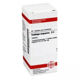 SOLIDAGO VIRGAUREA D 4 tabletter, 80 kapsler