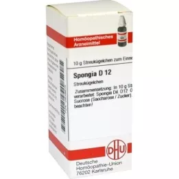 SPONGIA D 12 kugler, 10 g