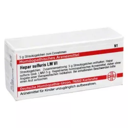 HEPAR SULFURIS LM VI Globuli, 5 g