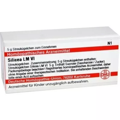 SILICEA LM VI Globuli, 5 g