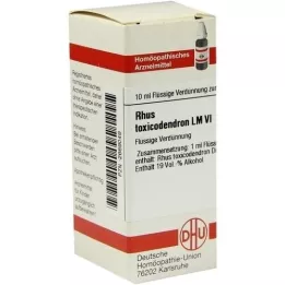 RHUS TOXICODENDRON LM VI Diluție, 10 ml