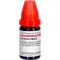 BERBERIS LM XXX Fortynding, 10 ml