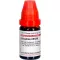 GRAPHITES LM XXX Fortynding, 10 ml