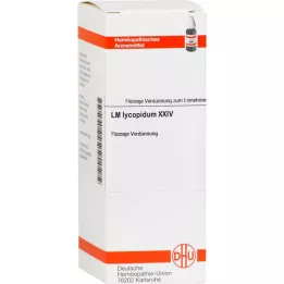 LYCOPODIUM LM XXIV Fortynding, 10 ml