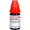 SILICEA LM XXIV Fortynding, 10 ml