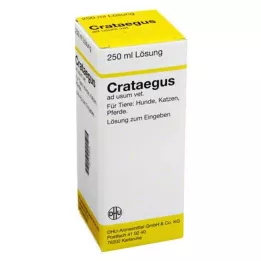 CRATAEGUS Fortynding vet., 250 ml