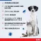 BOLFO Loppebeskyttelsesbånd brun til små hunde/katte, 1 stk