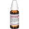 CURCUMA LONGA D 4 fortynding, 20 ml