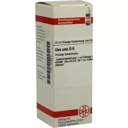 UVA URSI D 6 fortynding, 20 ml