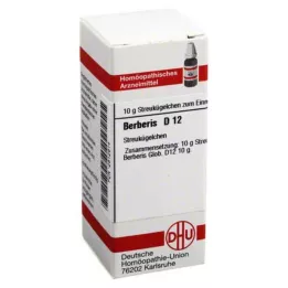 BERBERIS D 12 kugler, 10 g