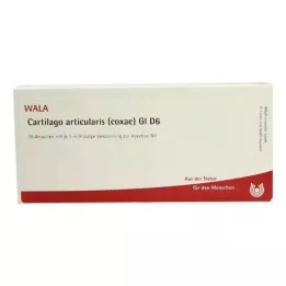 CARTILAGO articularis coxae GL D 6 ampuller, 10X1 ml