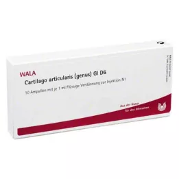 CARTILAGO articularis-slægten GL D 6 ampuller, 10X1 ml