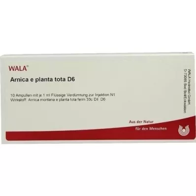 ARNICA E Planta tota D 6 ampuller, 10X1 ml