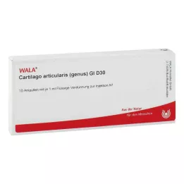 CARTILAGO articularis-slægten GL D 30 ampuller, 10X1 ml