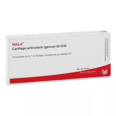 CARTILAGO articularis-slægten GL D 30 ampuller, 10X1 ml