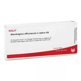 MANDRAGORA OFFICINARIUM e radice D 6 ampuller, 10X1 ml
