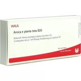 ARNICA E Planta tota D 20 ampuller, 10X1 ml