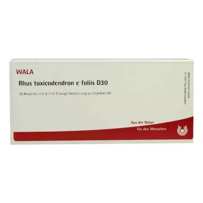RHUS TOXICODENDRON E foliis D 30 ampuller, 10X1 ml