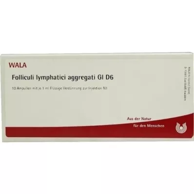 FOLLICULI LYMPHATICI aggregati GL D 6 ampuller, 10X1 ml