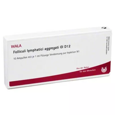 FOLLICULI LYMPHATICI aggregati GL D 12 ampuller, 10X1 ml