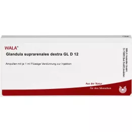 GLANDULA SUPRARENALES dextra GL D 12 ampuller, 10X1 ml