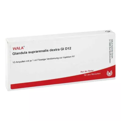 GLANDULA SUPRARENALES dextra GL D 12 ampuller, 10X1 ml